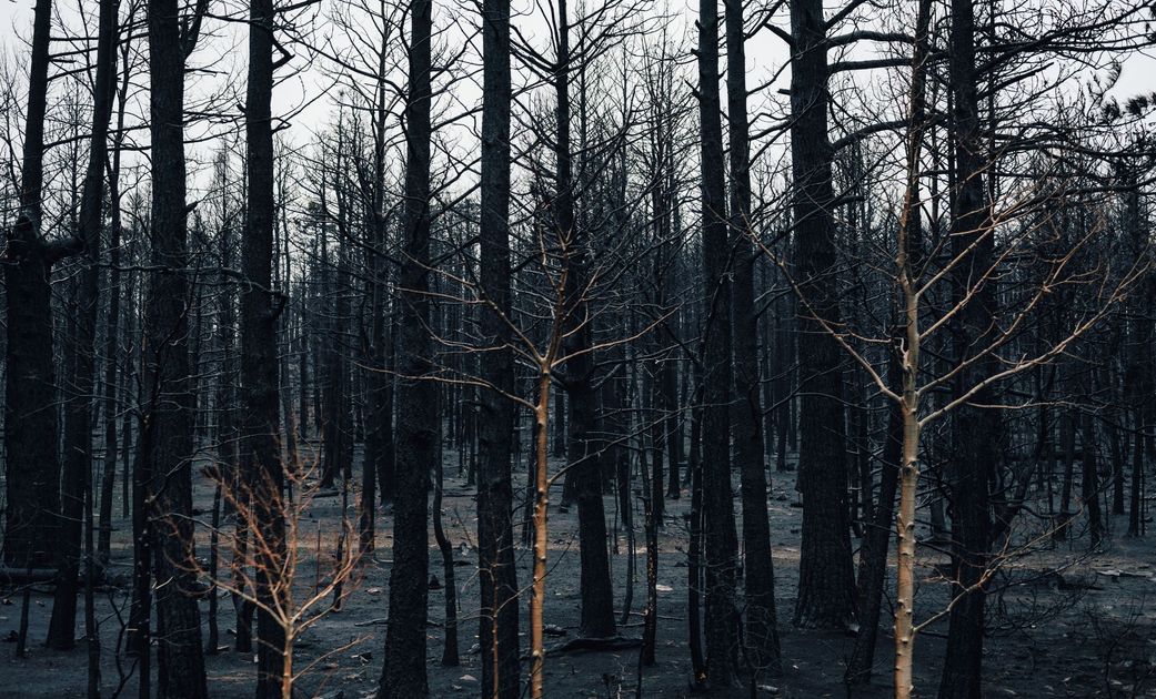Ecuador registra cinco incendios forestales activos y tres controlados